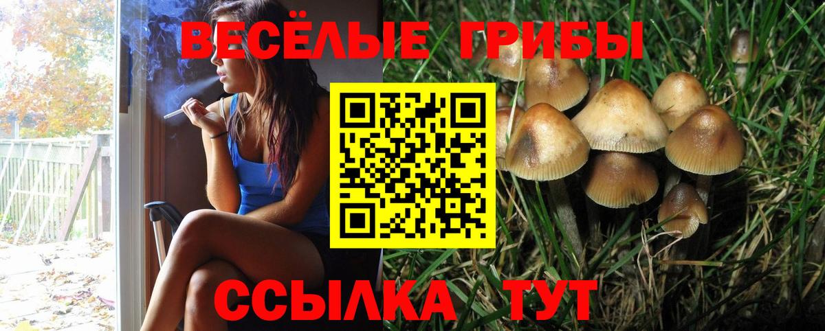 Псилоцибиновые грибы MAGIC MUSHROOMS Краснознаменск
