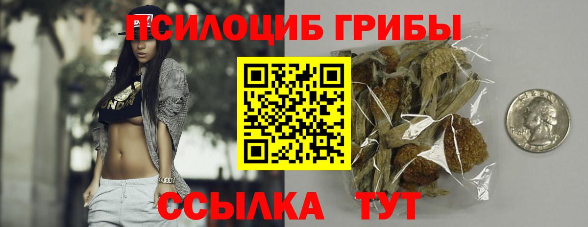 Псилоцибиновые грибы Psilocybe  Вход с VPN  дарнет шоп  Краснознаменск 
